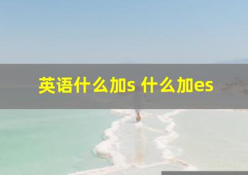 英语什么加s 什么加es